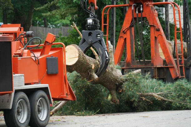 Best Soil Testing and Treatment  in Cedar Knolls, NJ