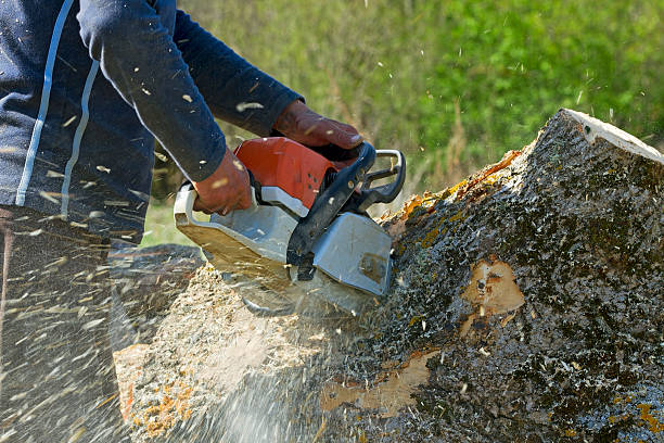 Best Weed Control  in Cedar Knolls, NJ